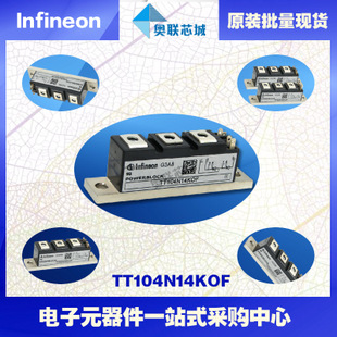 TT105N12KOF原裝英飛凌功率可控硅模塊.現(xiàn)貨