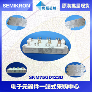 SKM75GD123D 功率西門康可控硅模塊,現(xiàn)貨直銷!