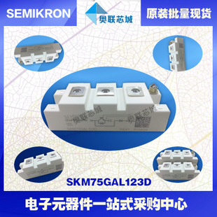 SKM75GAL124D 功率西門康可控硅模塊,現(xiàn)貨直銷!