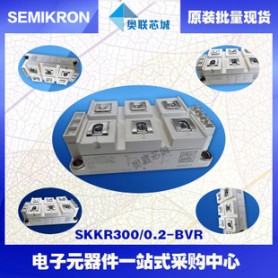SKKR200/0.2-BVR 功率西門康可控硅模塊,現(xiàn)貨直銷!