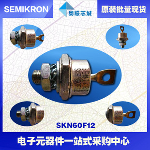 全新原裝功率平板晶閘管模塊SKN60F14 特價(jià)熱賣！