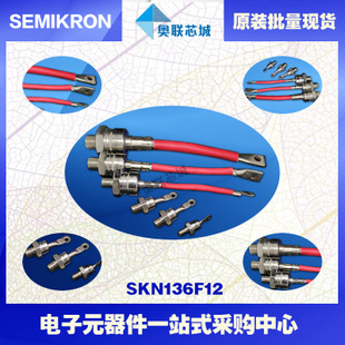 全新原裝功率平板晶閘管模塊SKN135F10 特價熱賣！