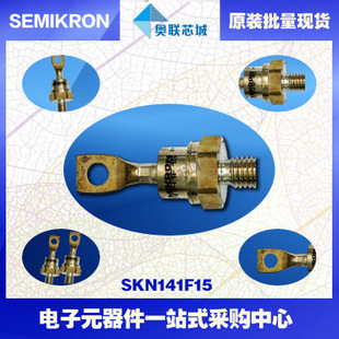 全新原裝功率平板晶閘管模塊SKN141F17 特價熱賣！