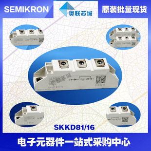 全新原裝功率二極管模塊SKKD81/14大批量,現(xiàn)貨