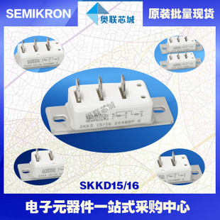 全新原裝功率二極管模塊SKKD15/06大批量,現(xiàn)貨