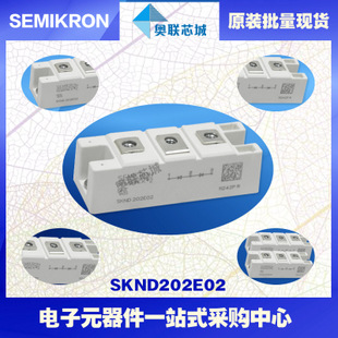 全新原裝功率二極管模塊SKND105F10大批量,現(xiàn)貨