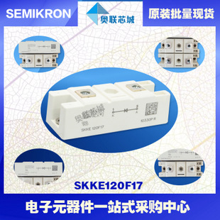 全新原裝功率二極管模塊SKKE120F17大批量,現(xiàn)貨