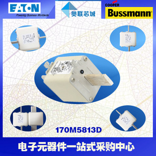 特價，原裝BUSSMANN快速熔斷器170M5813現(xiàn)貨,熱賣!