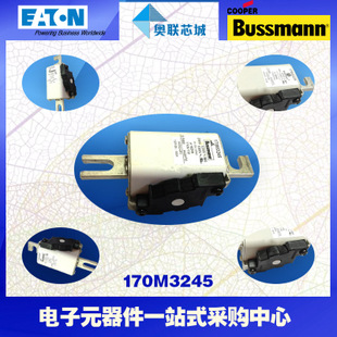特價，原裝BUSSMANN快速熔斷器170M3198現(xiàn)貨,熱賣!