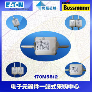 特價，原裝BUSSMANN快速熔斷器170M5972現(xiàn)貨,熱賣!
