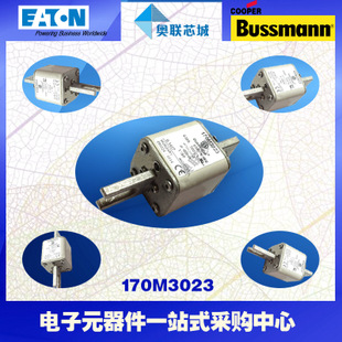 特價(jià),原裝BUSSMANN快速熔斷器170M3067現(xiàn)貨,熱賣!