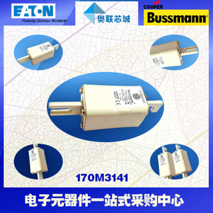 特價(jià),原裝BUSSMANN快速熔斷器170M3066現(xiàn)貨,熱賣!