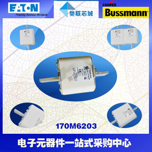 特價，原裝BUSSMANN快速熔斷器170M6204現(xiàn)貨,熱賣!
