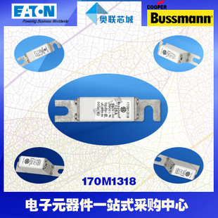 特價(jià),原裝BUSSMANN快速熔斷器170M1310現(xiàn)貨,熱賣!