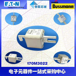 特價，原裝BUSSMANN快速熔斷器170M3272現(xiàn)貨,熱賣!