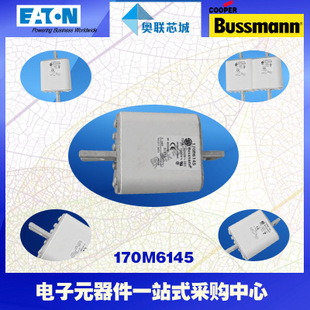特價，原裝BUSSMANN快速熔斷器170M6162現貨,熱賣!