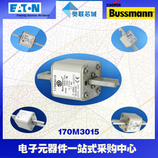 特價,原裝BUSSMANN快速熔斷器170M3016現(xiàn)貨,熱賣!
