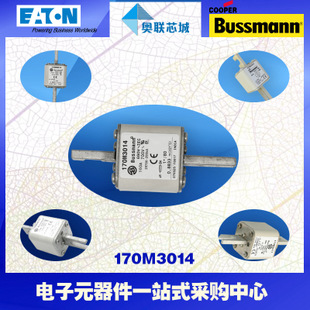 特價(jià)，原裝BUSSMANN快速熔斷器170M3114現(xiàn)貨,熱賣!