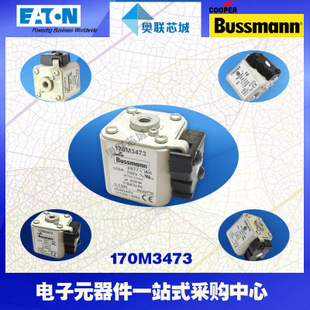 特價，原裝BUSSMANN快速熔斷器170M3173現(xiàn)貨,熱賣!