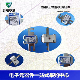 原裝法雷Ferraz/羅蘭熔斷器A070UD30KI450 T301064特價