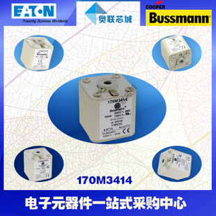 特價(jià)，原裝BUSSMANN快速熔斷器170M3496現(xiàn)貨,熱賣!