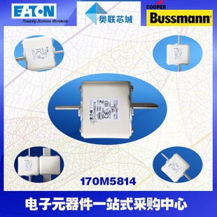 特價(jià)，原裝BUSSMANN快速熔斷器170M5960現(xiàn)貨,熱賣!