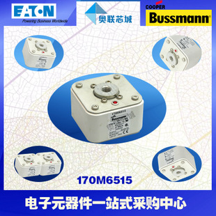 特價(jià)，原裝BUSSMANN快速熔斷器170M6501現(xiàn)貨,熱賣!