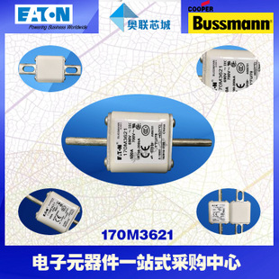 特價(jià)，原裝BUSSMANN快速熔斷器170M3660現(xiàn)貨,熱賣!