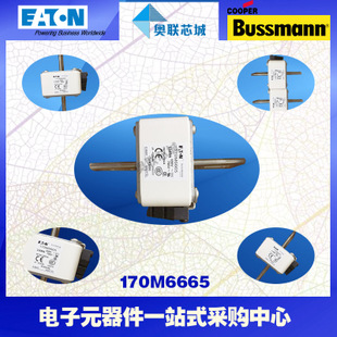 特價，原裝BUSSMANN快速熔斷器170M6661現(xiàn)貨,熱賣!
