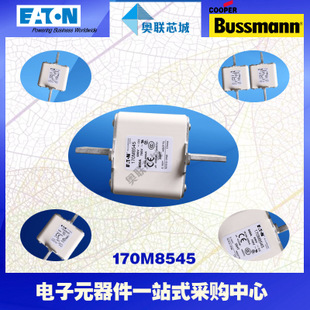 特價，原裝BUSSMANN快速熔斷器170M8538現(xiàn)貨,熱賣!