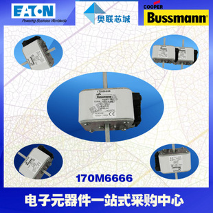 特價，原裝BUSSMANN快速熔斷器170M6663現(xiàn)貨,熱賣!