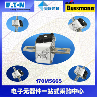 特價,原裝BUSSMANN快速熔斷器170M5691現(xiàn)貨,熱賣!