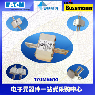 特價(jià),原裝BUSSMANN快速熔斷器170M6699現(xiàn)貨,熱賣!