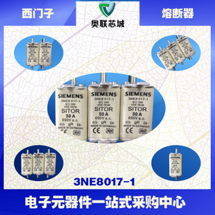 3NE8015-1