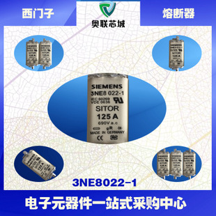 3NE8022-1